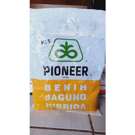 Bibit jagung PIONEER P35