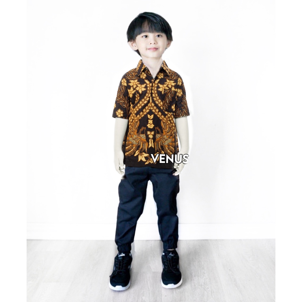 Kemeja Batik Anak - batik anak - baju batik anak laki laki umur 2-12 tahun hem batik anak pendek