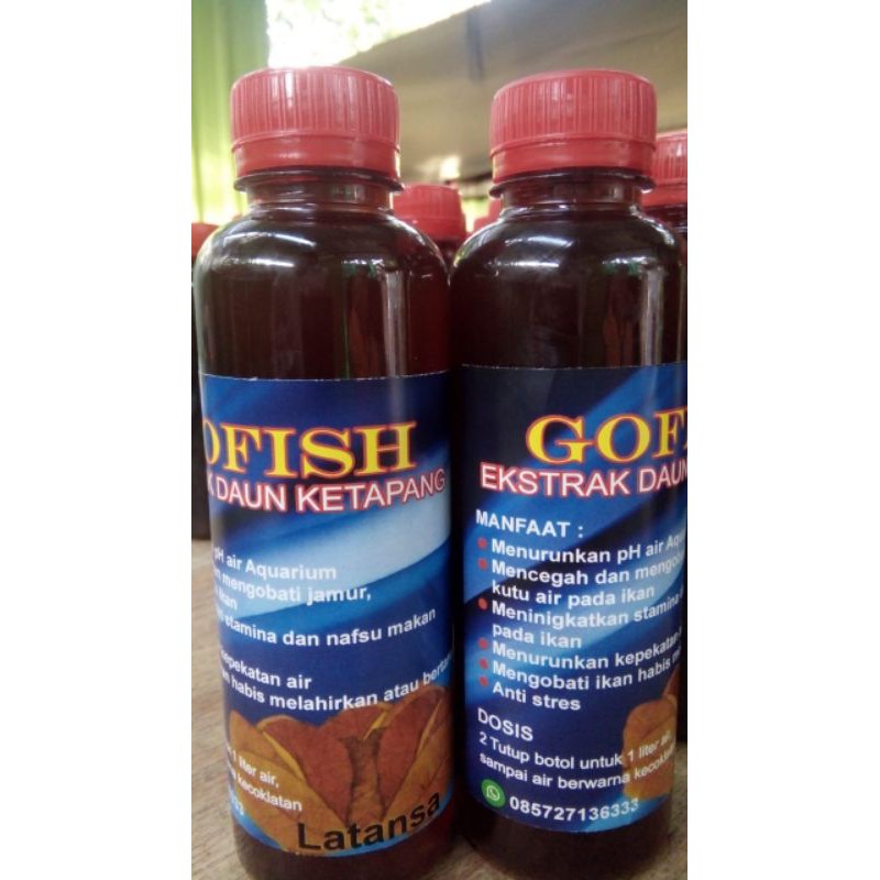 

gofish ekstrak daun ketapang