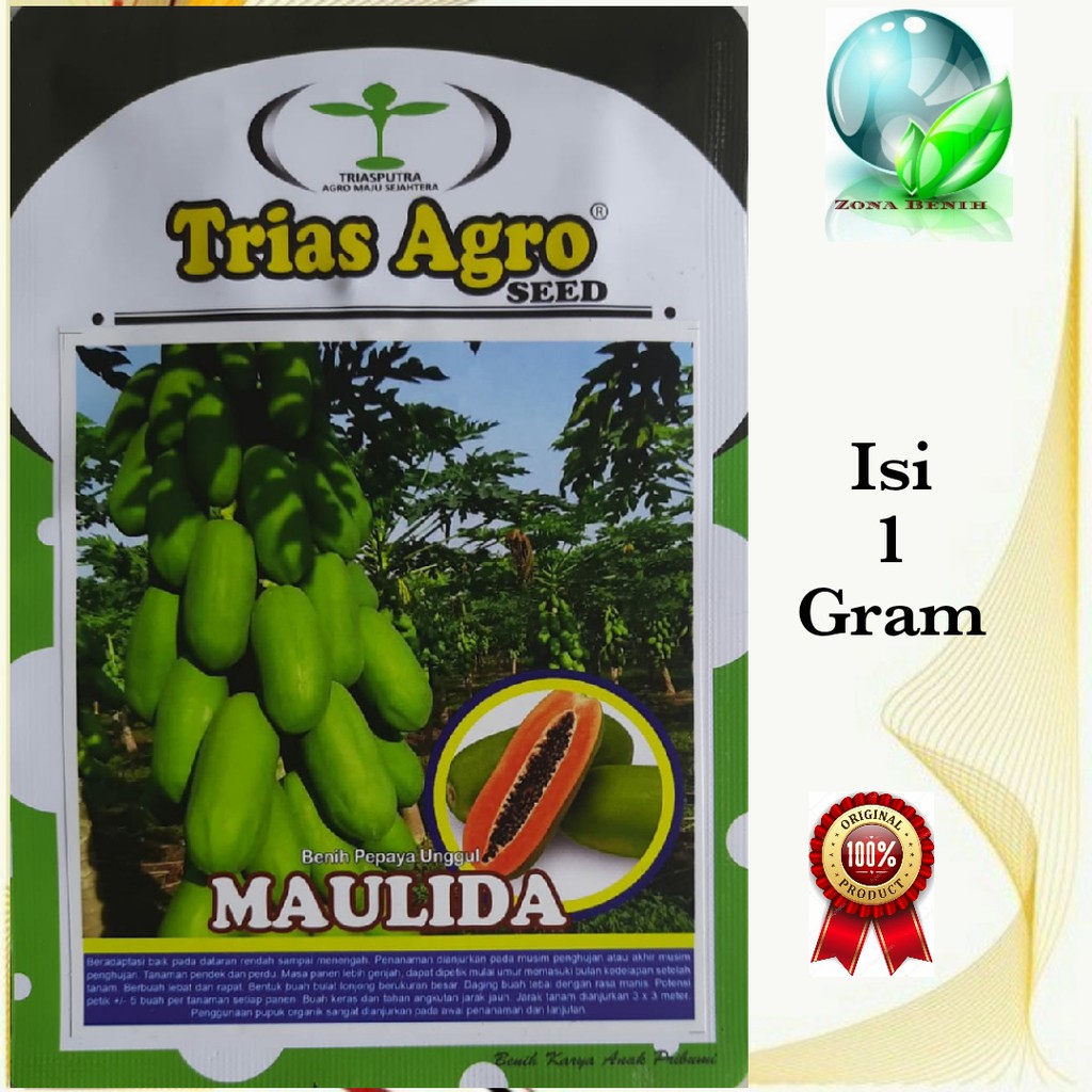 BIBIT PEPAYA CALIFORNIA MAULIDA ISI 1 GRAM BENIH PEPAYA BIBIT PEPAYA CALIFORNIA UNGGUL