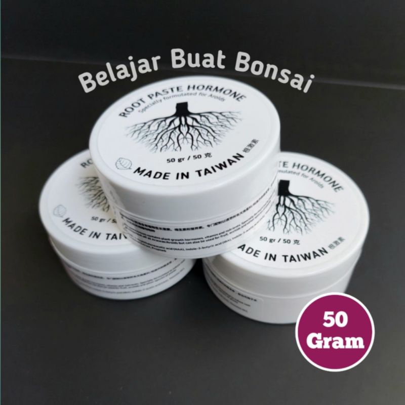 Root Paste Plus Hormon 50 Gram Cream Pemicu Akar