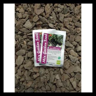 Benih Cabai Purple Carolina Reaper