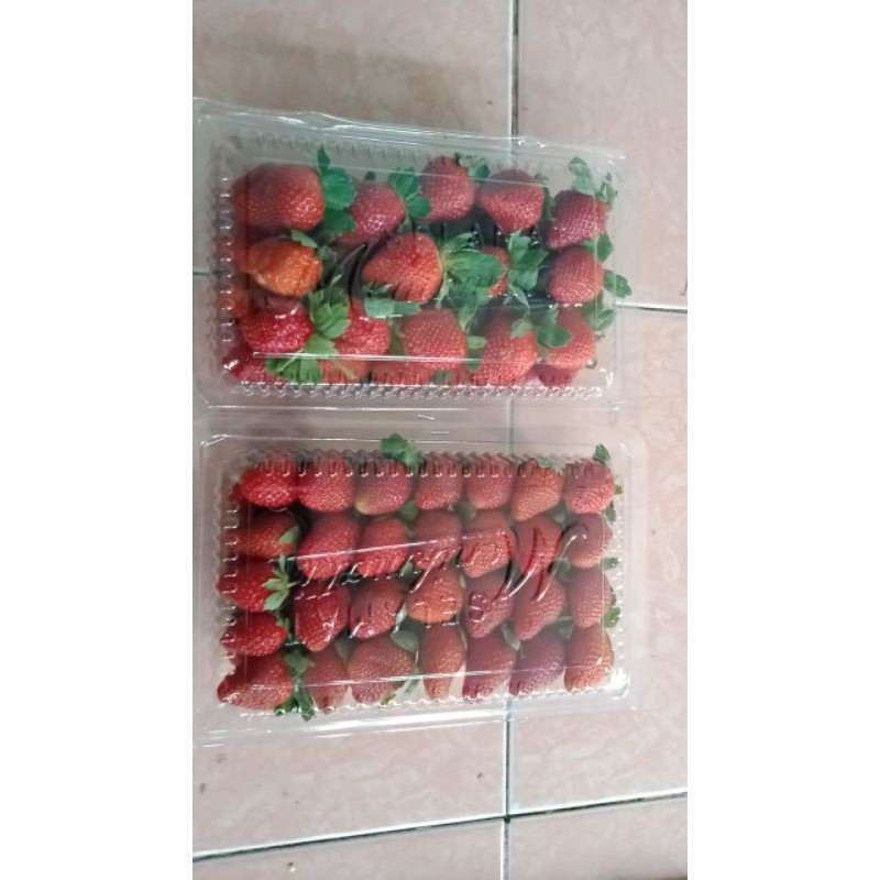 

strawberry fresh lokal 500gram ukuran besar
