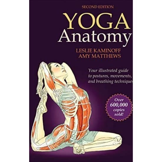 Jual BUKU BARU Yoga Anatomy Indonesia|Shopee Indonesia