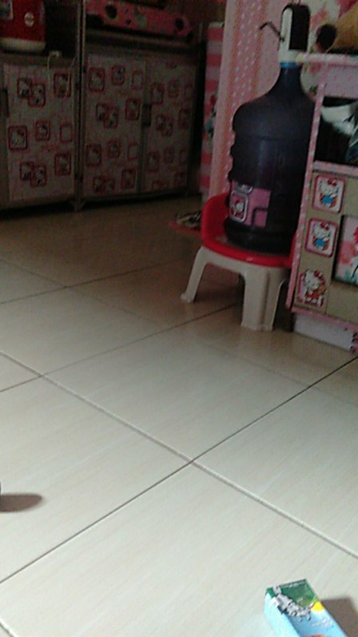 Kotak Penyimpanan Makanan - Kotak Makan Victory Food Box Clear 1000ml (1 Set Isi 3)