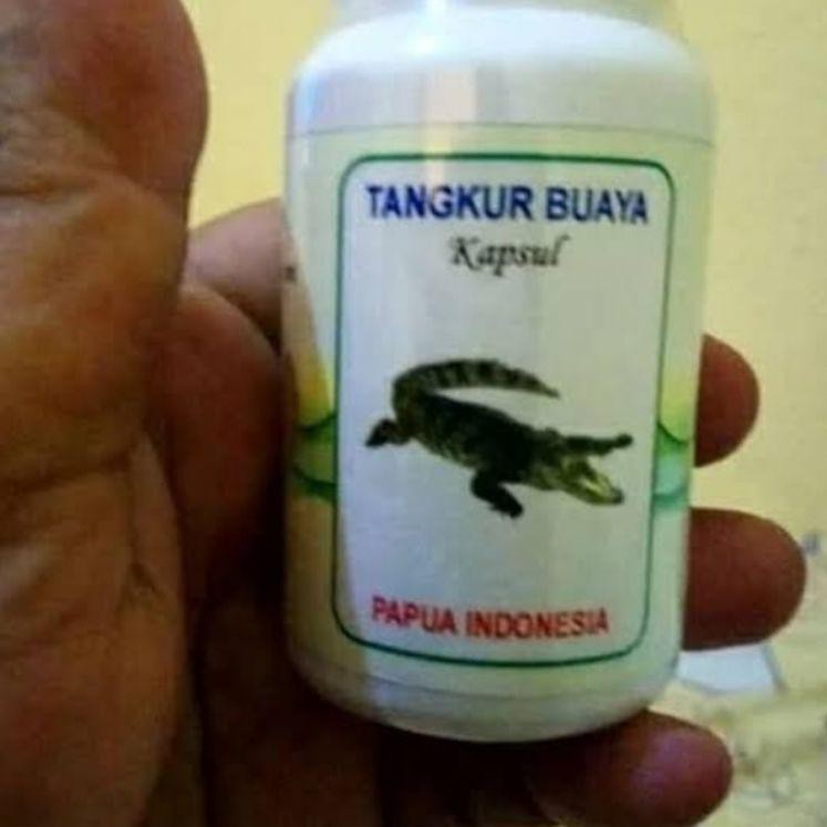 V6M1 Tangkur Buaya Kapsul Asli Papua QYA