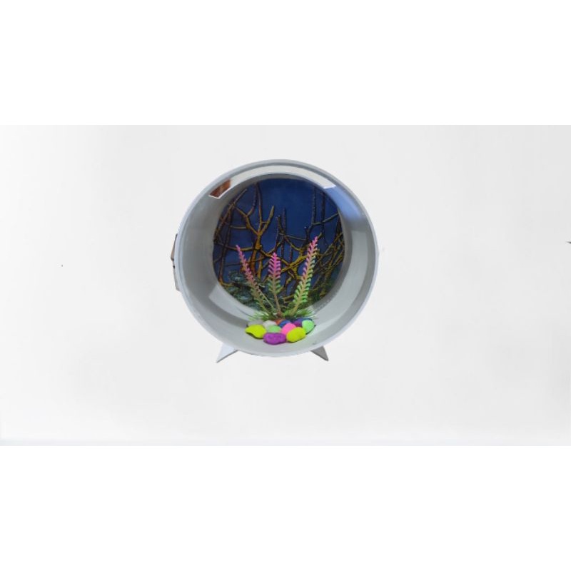 AKUARIUM AQUARIUM MINIMALIS IKAN CUPANG GUFI 11CM