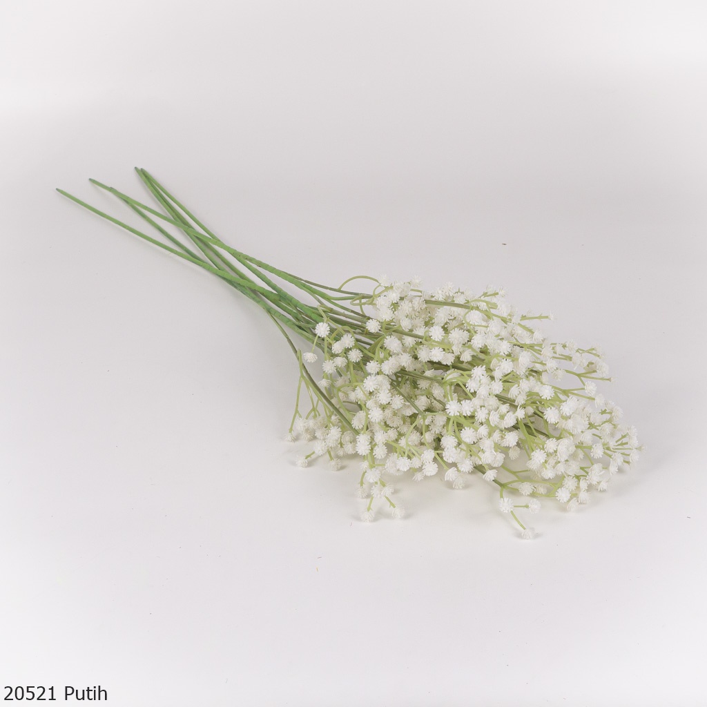 Baby's Breath Panjang 2052