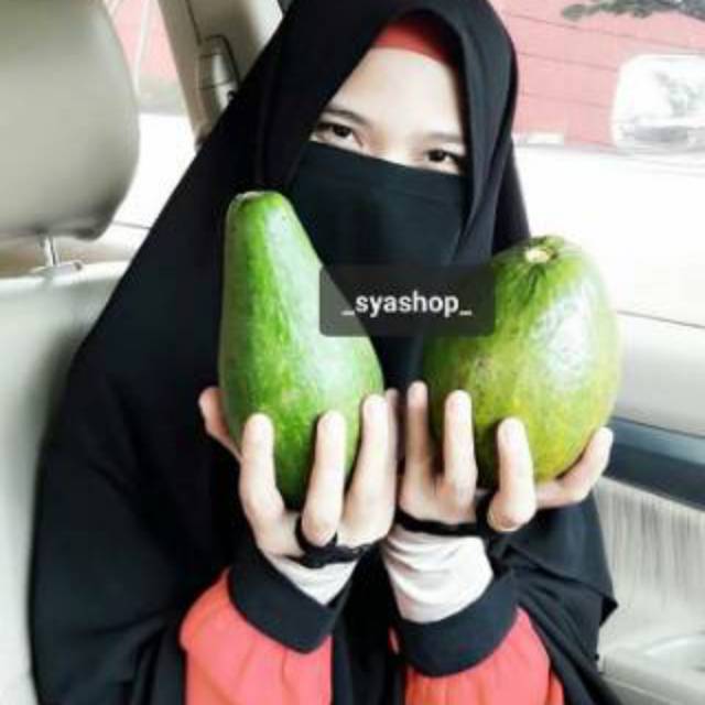 

Alpukat jumbo