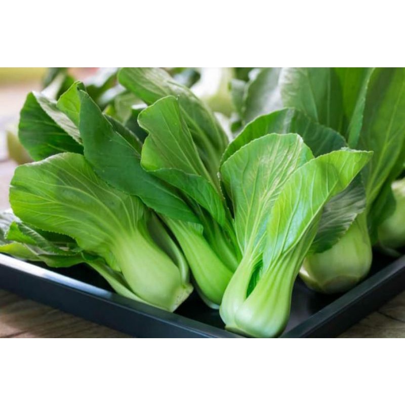 sayur pakcoy hijau fresh 1 kg