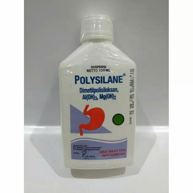 polysilane cair 100g