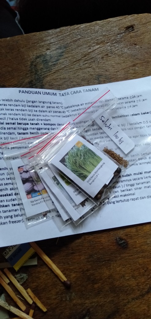 Biji Benih Sayur Bayam Merah