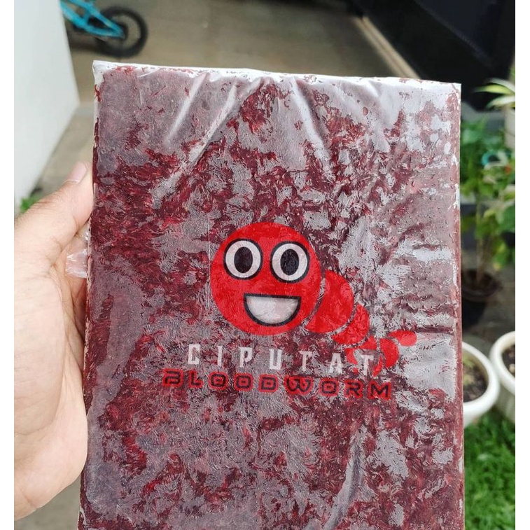 Cacing Darah beku/Bloodworm frozen 1kg