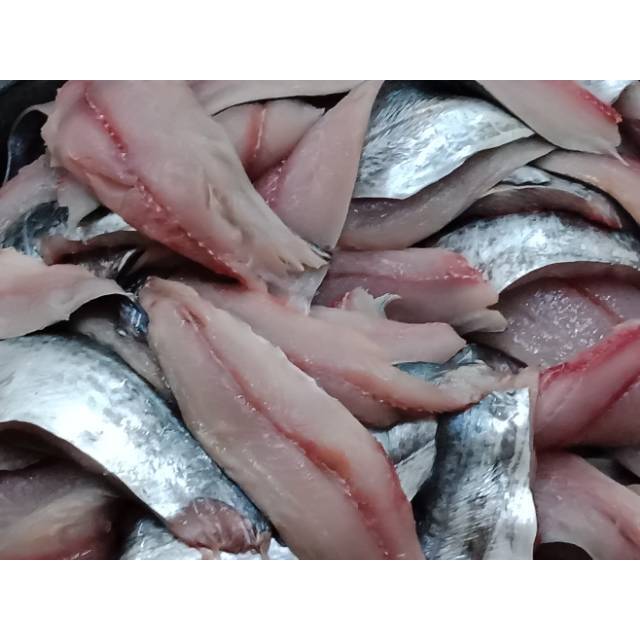 

Tenggiri giling Gepeng