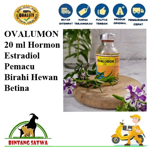 OVALUMON 20 ml - Hormon Estradiol
