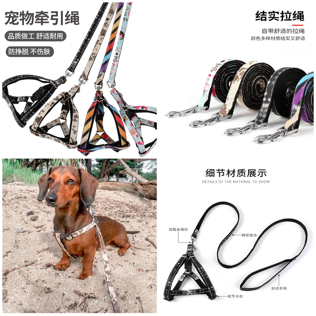 Pet Harness Leash Dog Cat / Tali Tuntun Anjing Kucing Polyester Motif Doky