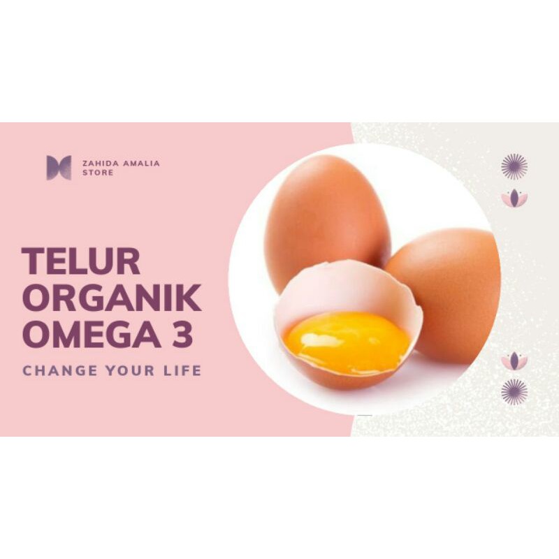 

telur organik omega 3
