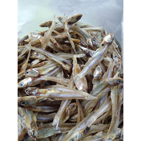 

Ikan Bada Tawar/ Ikan Teri Tawar