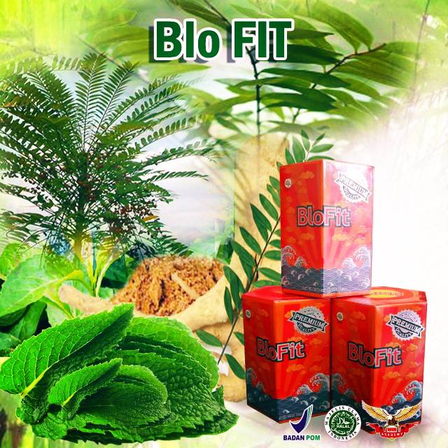 

Blofit