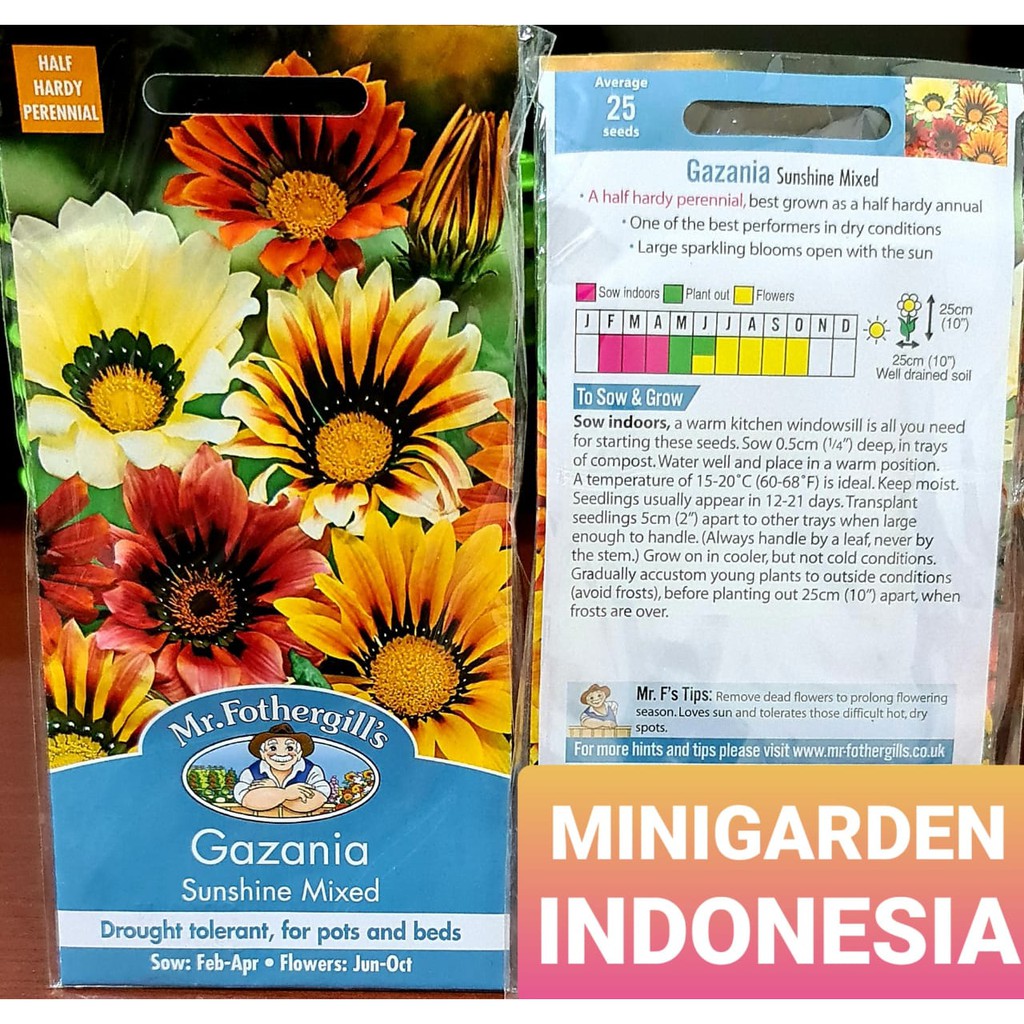 Benih Bunga GAZANIA SUNSHINE MIXED PACK 25 BIJI F1 Mr. Fothergills Bibit tanaman