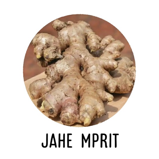 

Jahe emprit 250g 500g 1 k jahe emprit asli segar jahe murni murah
