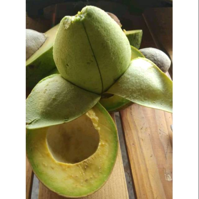 

Alpukat mentega Super 3 kg / Alpukat mentega premium