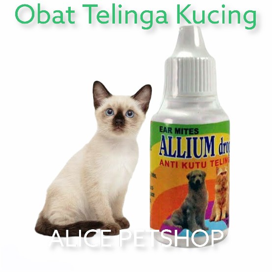 ALLIUM Drops 30ml obat tetes kuping kucing