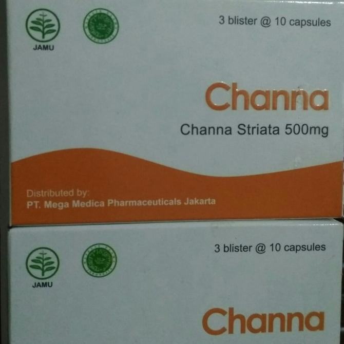 channa striata 500mg ekstrak ikan gabus
