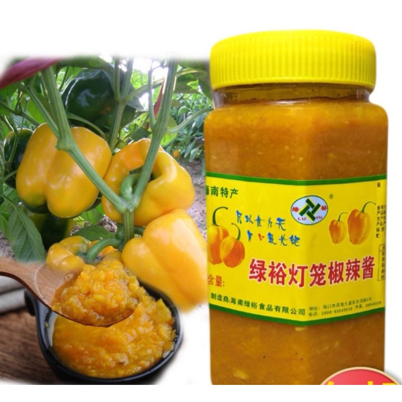 

Hainan saos pedas deng long jiao Yellow Paprika chili