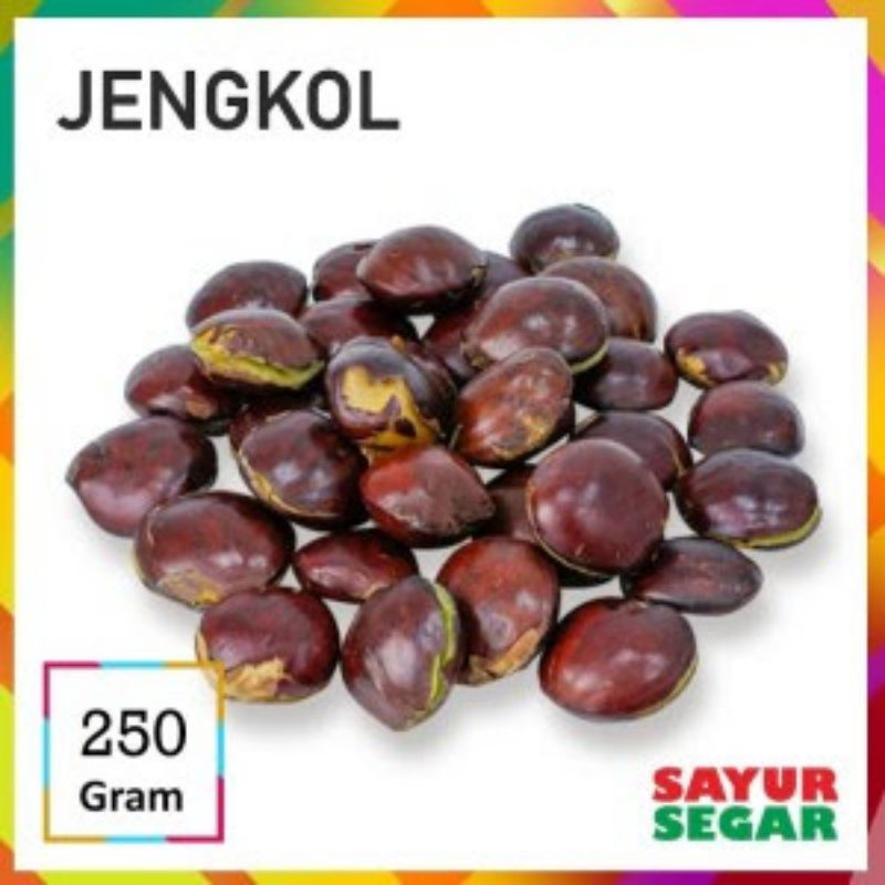 

jengkol