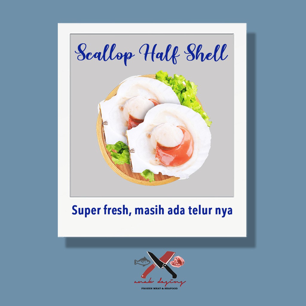 Scallop Half Shell - Import Quality Premium