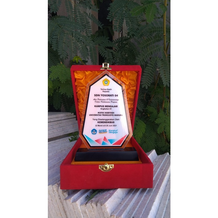 

Vandel Akrilik + box