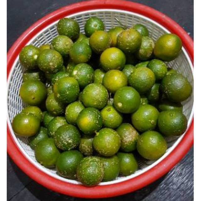 

Jeruk Son Kit - Seng Kit Kia - Jeruk Nipis - Kasturi khas Pontianak Kalbar