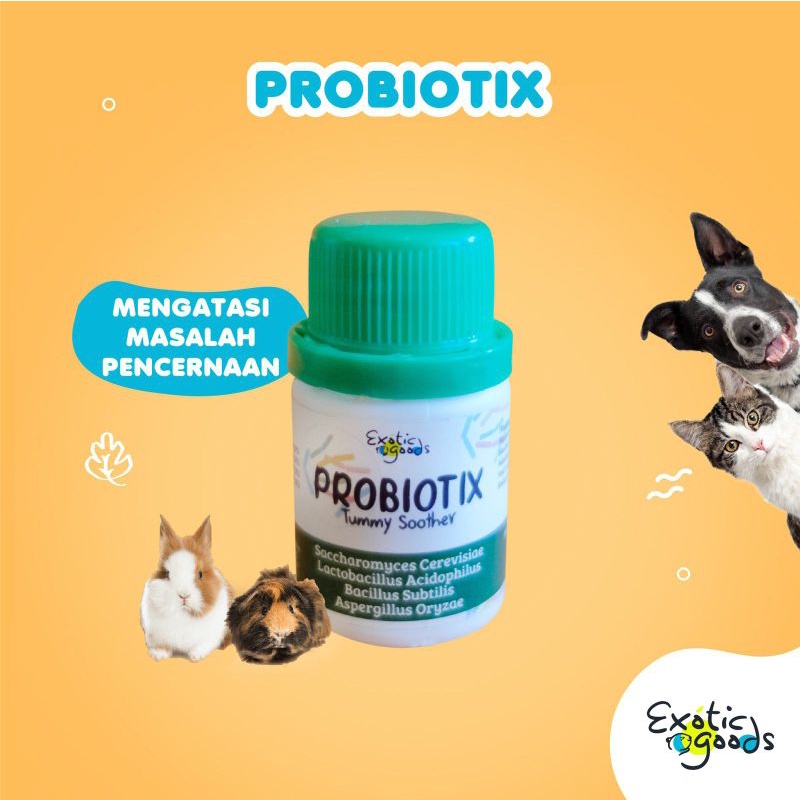 PROBIOTIX PROBIOTIK TUMMY SOOTHER 45g PROBIOTIK ANJING PROBIOTIK KUCING PROBIOTIK HEWAN OBAT PENCERNAAN ANJING OBAT PENCERNAAN KUCING OBAT DIARE ANJING OBAT DIARE KUCING