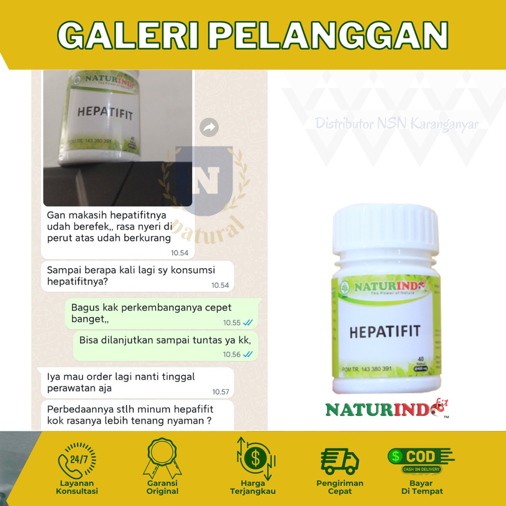 Obat Liver Mata Kuning Kesehatan Organ Hati Hepatitis Obat Hepatitis B Ampuh Hepatifit Obat herbal Liver Bengkak Obat Gatal Biduran Naturindofit-7