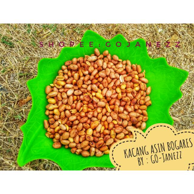 

Kacang Asin Bogares