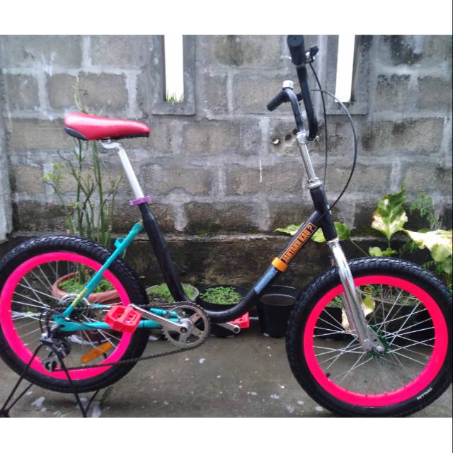 Minion phoenix frame 20