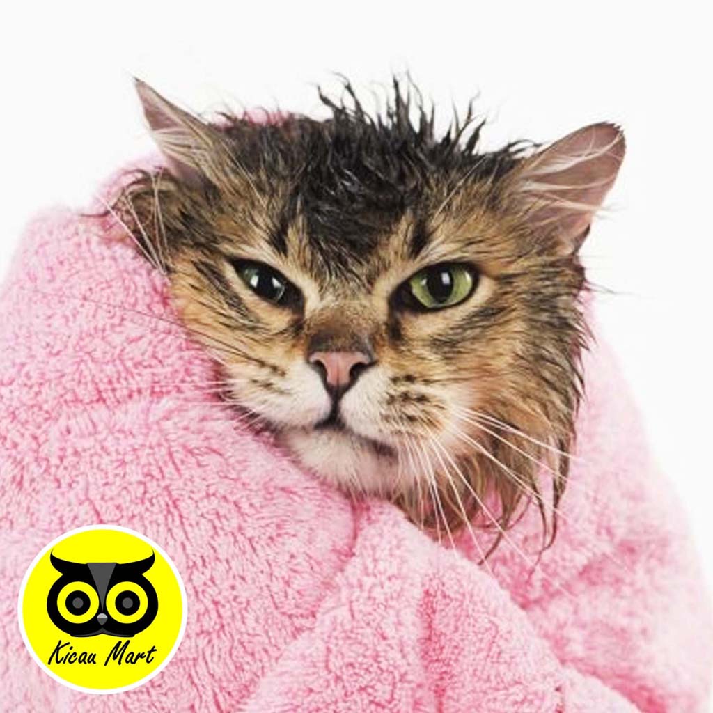 Shampo Sampo Kucing Olive Care Pink Revitalizing Conditioner 60 Ml Pet Shampoo Grooming Kucing Kitten Anabul Anjing Sampo Atasi Bulu Kusam Rusak Kering Rontok Pet Shampoo Grooming