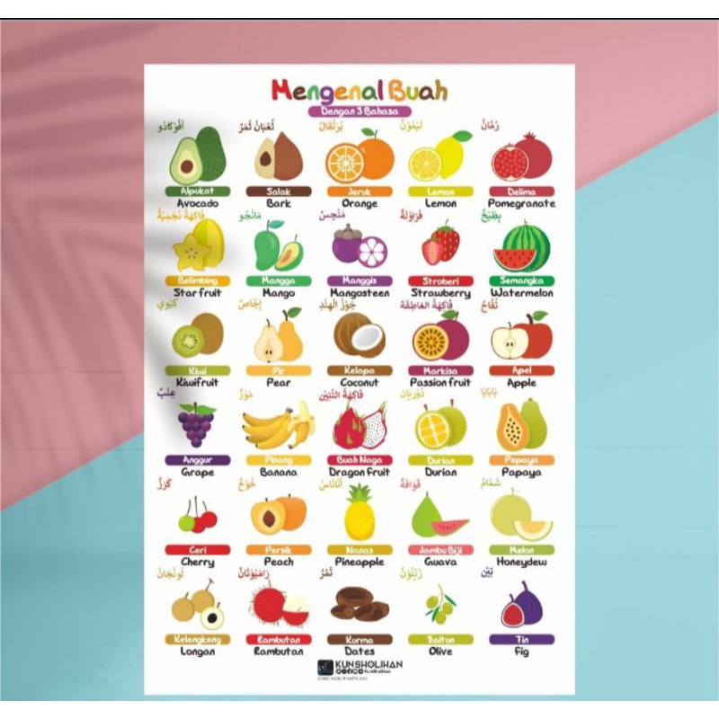 

Poster Mengenal Buah Dengan 3 Bahasa