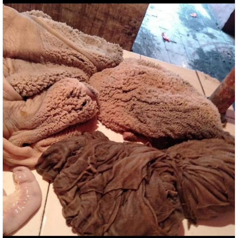 

Babat sapi hitam per kilo