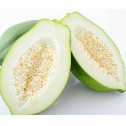 

Pepaya Muda