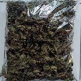 

DAUN JAMU SIDOGORI KERING / ARROWLEAF SIDA TERMURAH 250 GRAM