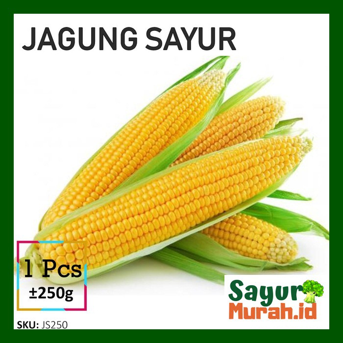 

JAGUNG MANIS - SAYUR [1 Buah ]