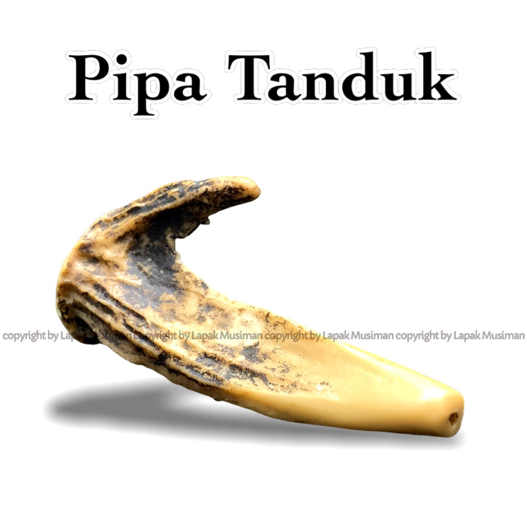 [Bayar di Tempat] Pipa Rokok Tanduk