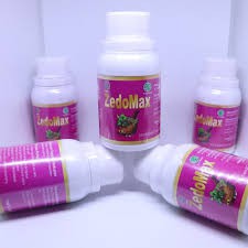 Zedo Max Zedomax Dan Zedo Plus Obat Herbal Kanker Dan Tumor Shopee Indonesia