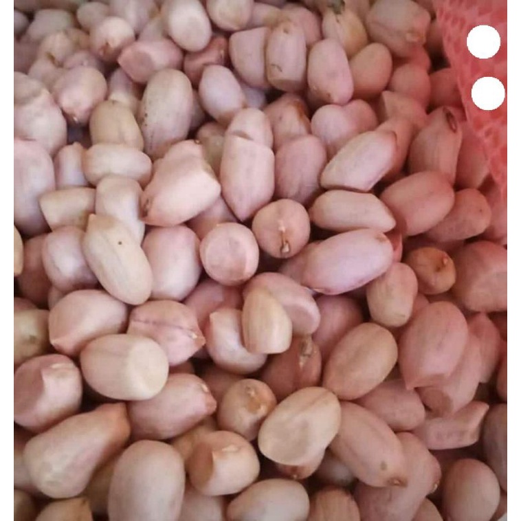 

Kacang tanah mentah 1kg