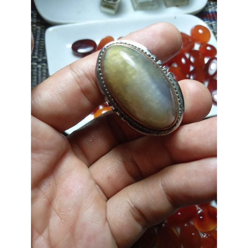 pandan lumut natural 150k