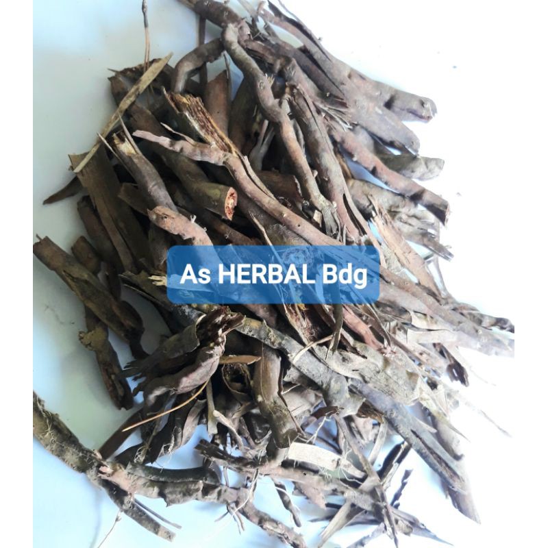 

Akar Pohon Kelapa Kering 500 gram natural-az