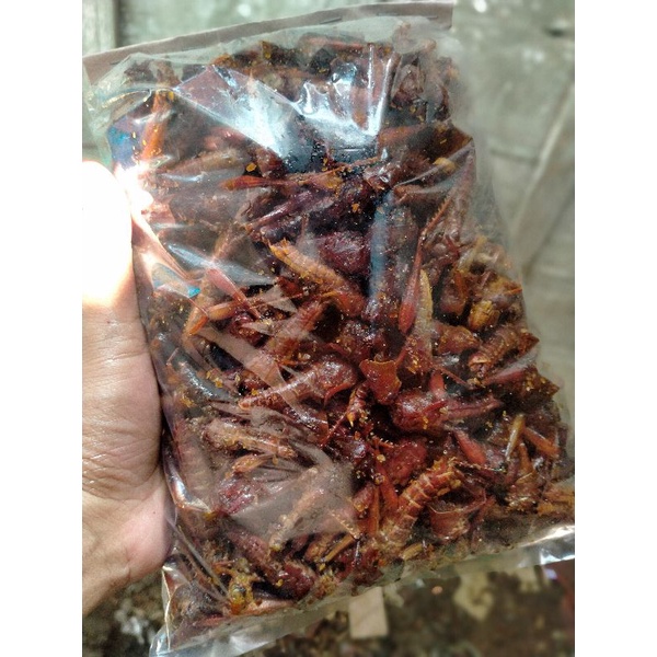 

Walang kayu