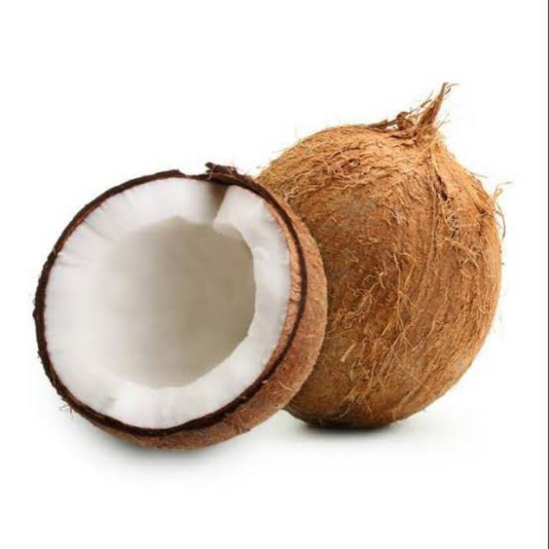 

Kelapa Utuh Segar